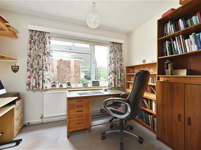 Picture 11